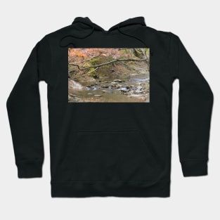 Autumn scene in Natural Bridge, Virginia Hoodie